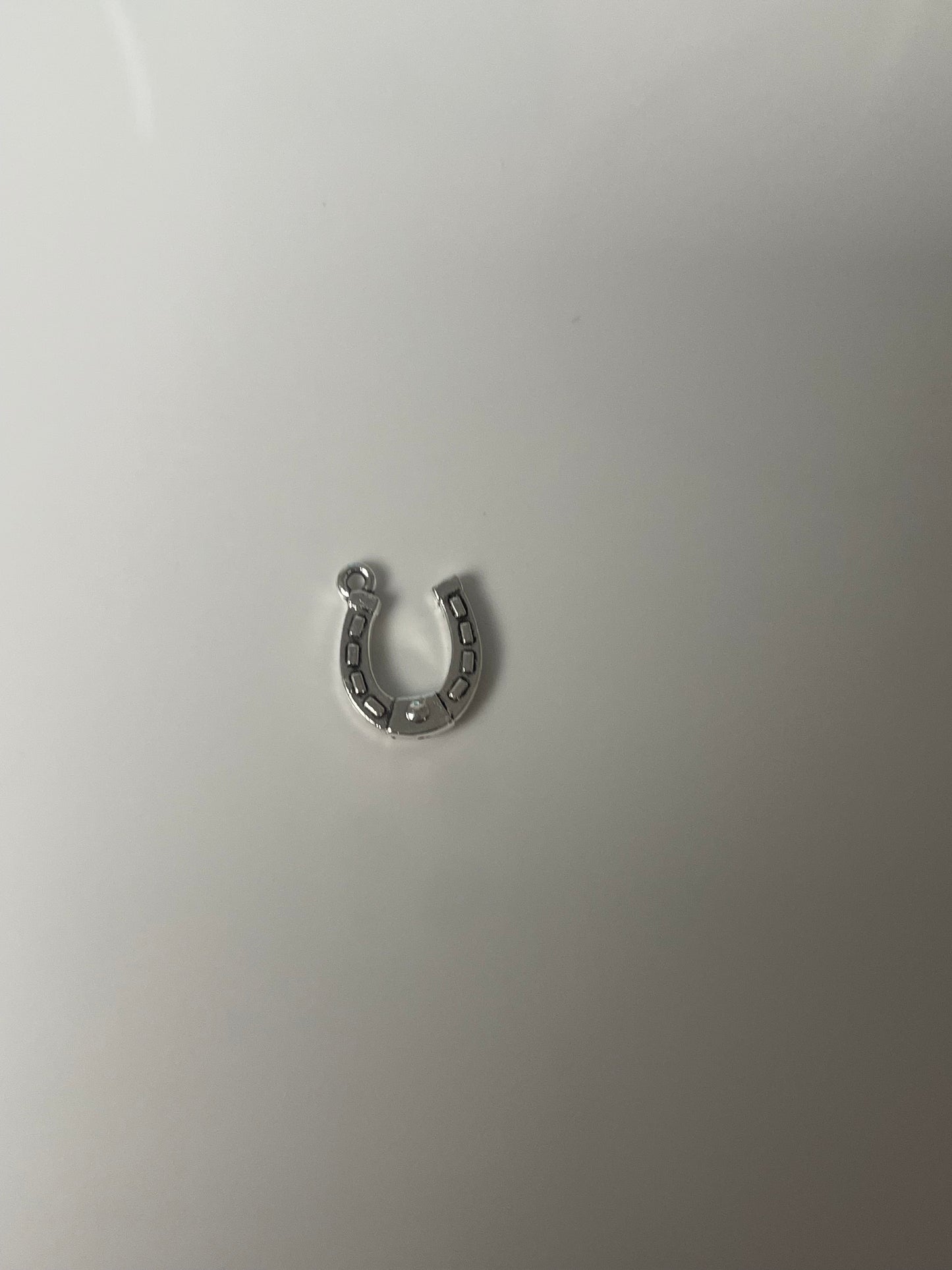 horseshoe charm