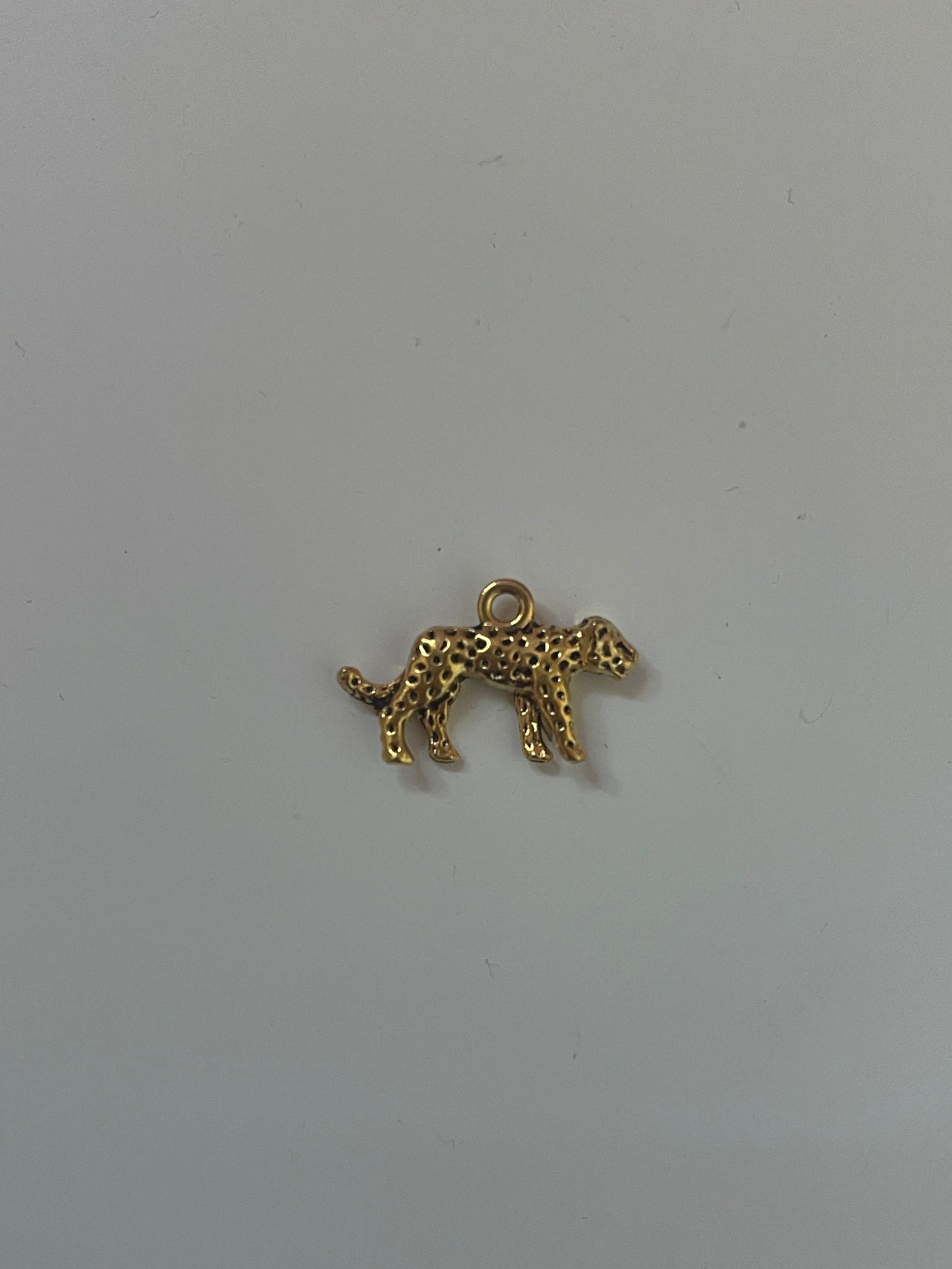 cheetah charm