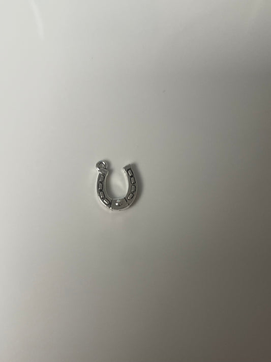 horseshoe charm