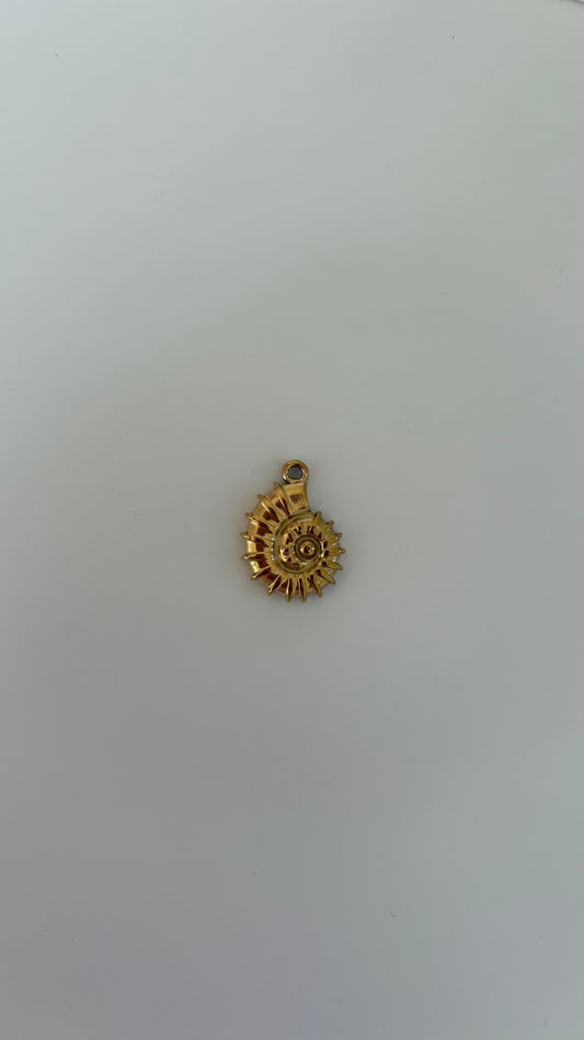 Ammonite charm