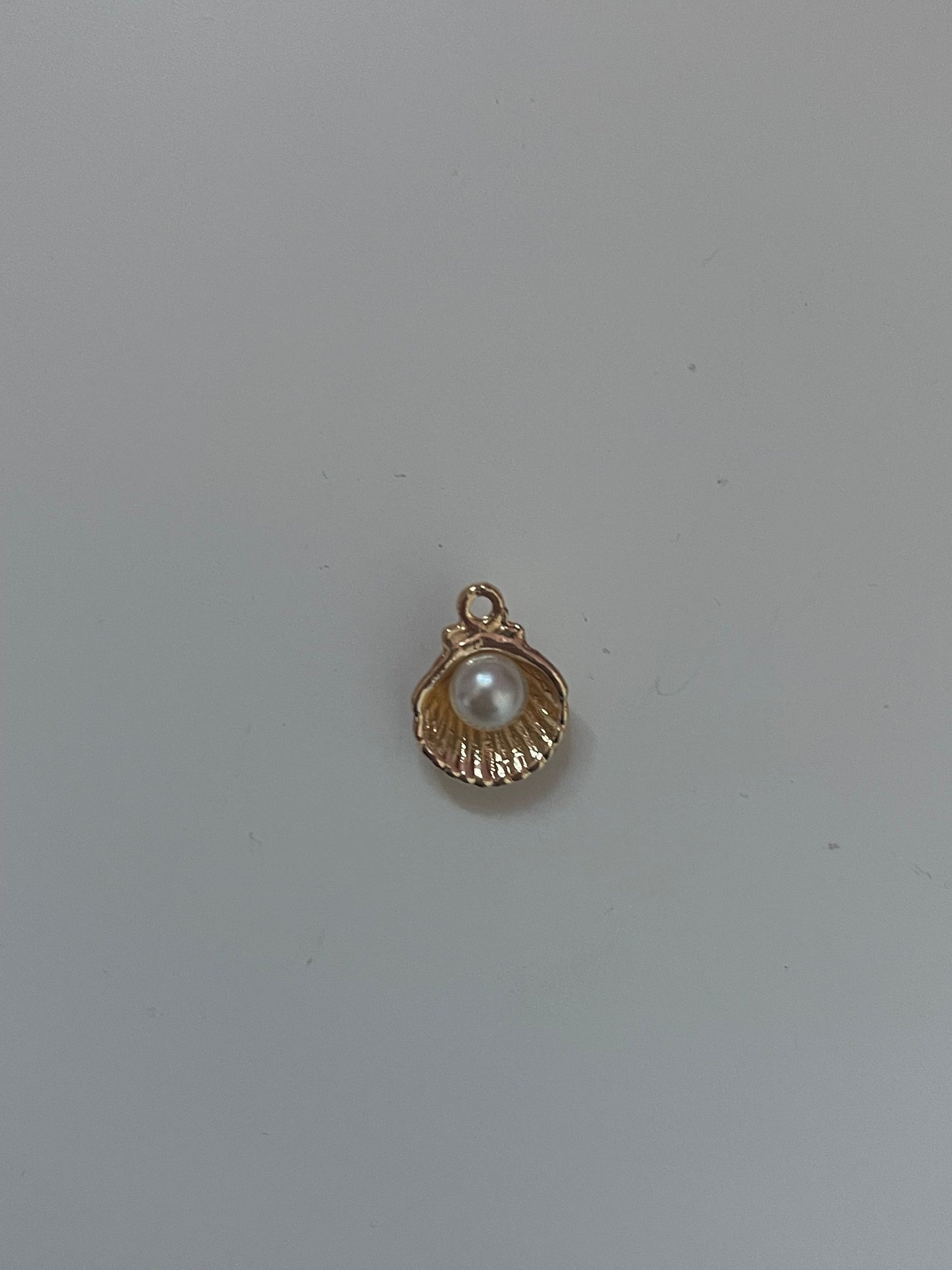 seashell charm